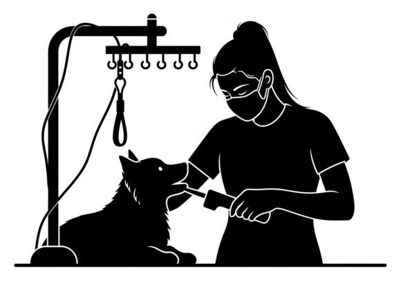 Black Silhouettes Woman Grooming Dog Review